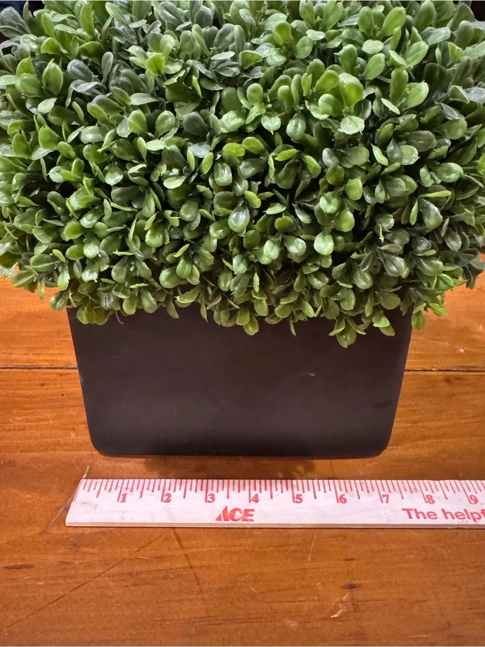 Faux Boxwood in brownish/black container